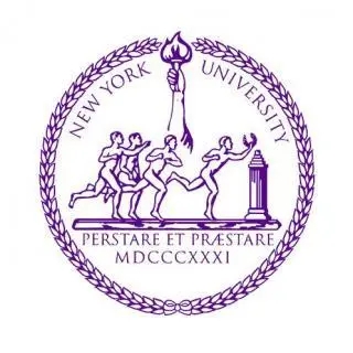 纽约大学New York University