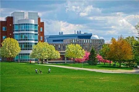 布兰迪斯大学Brandeis University(图1)