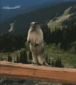 4-220213143ZL58.gif