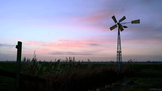 4-22021315413c03.gif