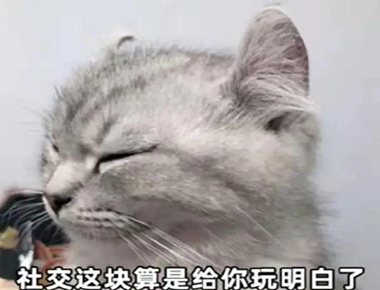 来康康留学生们的各种社交症吧~(图8)