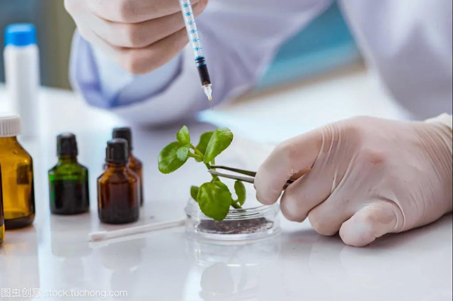 留学科普 | 生物工程(图1)