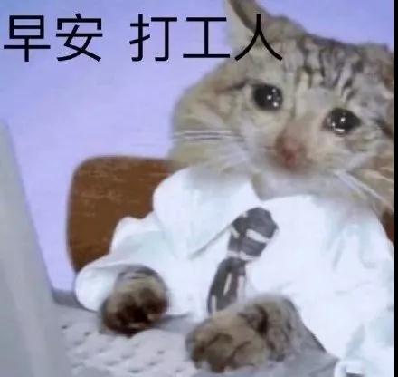 留学科普 | 生物工程(图4)